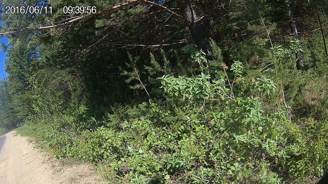 Велозаезд 2016-06-11 (РВСН). Часть 3