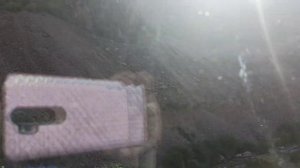 Переезд в Россию из Казахстана на ПМЖ  на поезде Тальго/С котом/