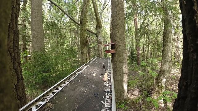 Лесная кормушка 1 / Slow mo / Лесные жители в замедленной съемке. Белка, сойка, дятел, синица смотреть онлайн