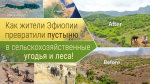 Как жители Эфиопии превратили пустыню в сельскохозяйственные угодья и леса!