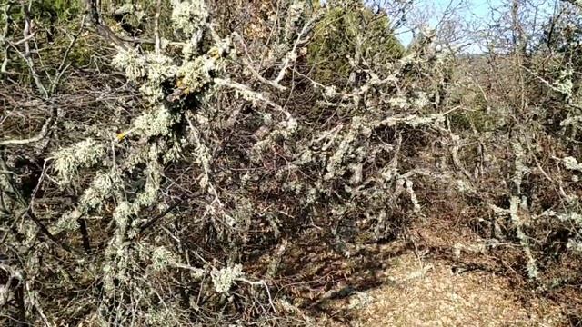 Путешествия по Крыму. Из Веселое в Новый Свет через горы смотреть онлайн