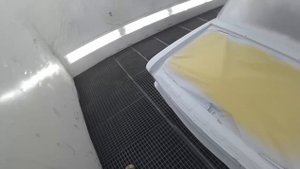 Жига. Окрас по правилам.
