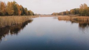 Лучшая прикормка по холодной воде на карася карпа леща. Где ловить рыбу осенью на поплавок.