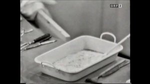 orf fernsehküche 1966 mit hans hofer