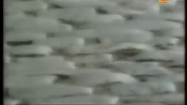 Энциклопедия - 04 - Мария Склодовская-Кюри.avi смотреть онлайн