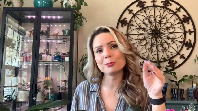 How To Water Orchids // Orchid Care + Including My Orchid Collection смотреть онлайн