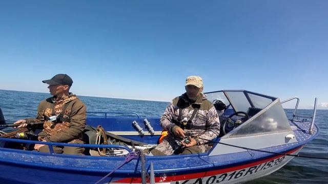 ЧУДО ЮДО. РЫБАЛКА В МОРЕ, ЛОВЛЯ ТРЕСКИ. смотреть онлайн