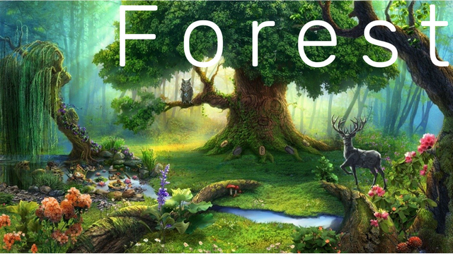 8.Forest ? ЛЕС ? РЕЛАКС ? МУЗЫКА ДЛЯ ДУШИ и ТЕЛА! ? МЕДИТАЦИЯ ? БОЖЕСТВЕННАЯ МУЗЫКА АНГЕЛОВ!