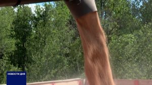 ГОТОВЫ ЛИ ЭЛЕВАТОРЫ ПРИНЯТЬ ЗЕРНО НОВОГО УРОЖАЯ?