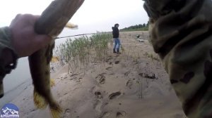 Рыбалка на косах Какую выбрать приманку для щуки?