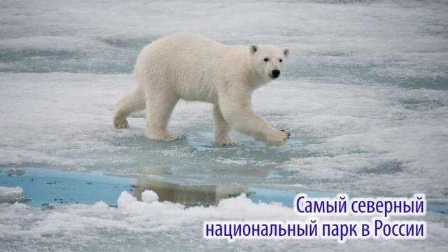 Достопримечательности Архангельской области