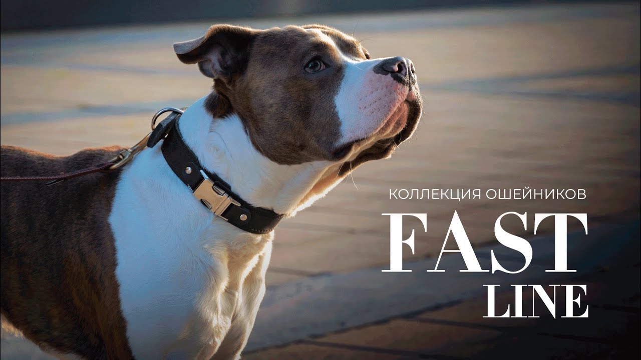 Быстросъёмные ошейники FAST LINE для собак