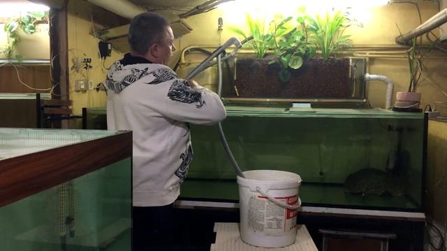 Чистка аквариумного фитофильтра обратным током воды. смотреть онлайн