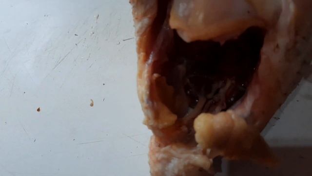 Почему не люблю черных кур? Хохлатые убывают... смотреть онлайн