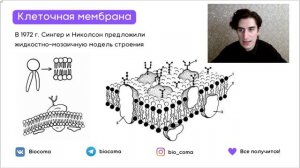 Клеточная мембрана. Строение, Функции и Практика | Биокома ЕГЭ по Биологии