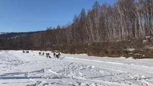 Детские гонки на оленях в День оленевода и охотника в Амурской области