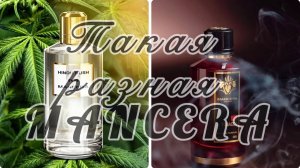 Такая разная MANCERA