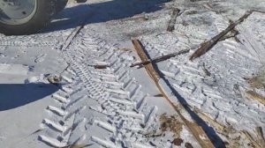 баня из липы