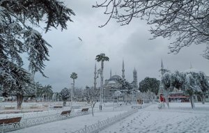Стамбул вновь оказался в снежном плену