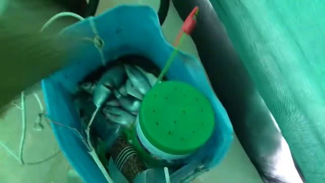 Экстремальная Рыбалка. смотреть онлайн