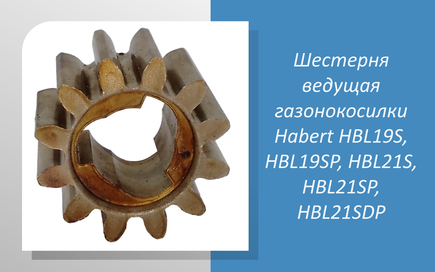 Шестерня ведущая газонокосилки Habert HBL19S, HBL19SP, HBL21S, HBL21SP, HBL21SDP