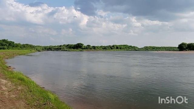 Рыбалка на реке Уссури. Поймали толстолоба.