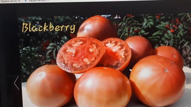 томаты 2021 мой выбор .ч.2 смотреть онлайн