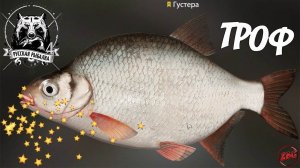 ГУСТЕРА - ТРОФ - р. БЕЛАЯ - ВОДОЕМ ЗАКРЫТ - СОВЕТЫ  РУССКАЯ РЫБАЛКА 4 | RUSSIAN FISHING 4@Z-B-G 