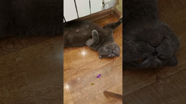 Хорошего отдыха!!!