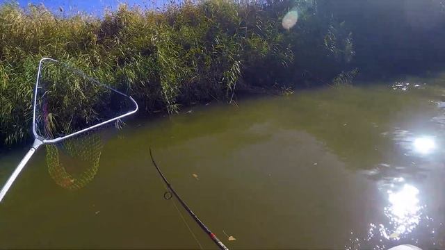 Лодочные приключения: противостояние ветру смотреть онлайн