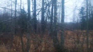 ОХОТА НА БОБРА! НАШЁЛ ГДЕ ЖИВУТ! УСТАНОВКА КАПКАНОВ!