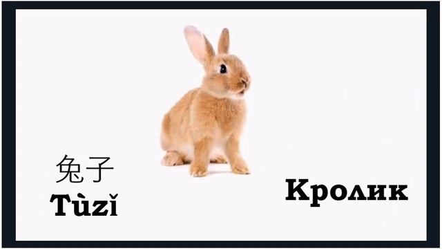 УРОК#2 Учим Животных По Китайски