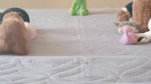 скибиди звери 10