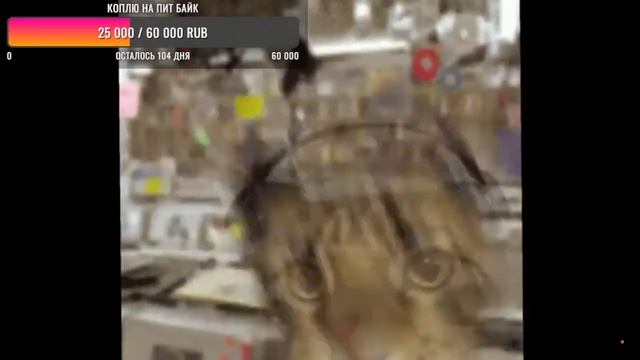 котик в наушниках смотреть онлайн