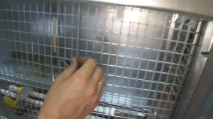 Клетка для бройлеров Обзор