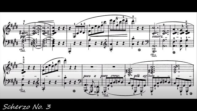 Chopin's Scherzos: Which Coda is Musically Best? смотреть онлайн