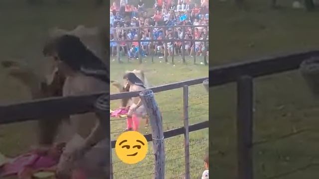 La mejor corrida de toro 2019