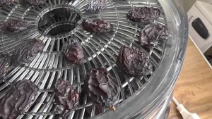 ОБЗОР на сушилку для овощей и фруктов Redmond RFD-0159. Можно обойтись?