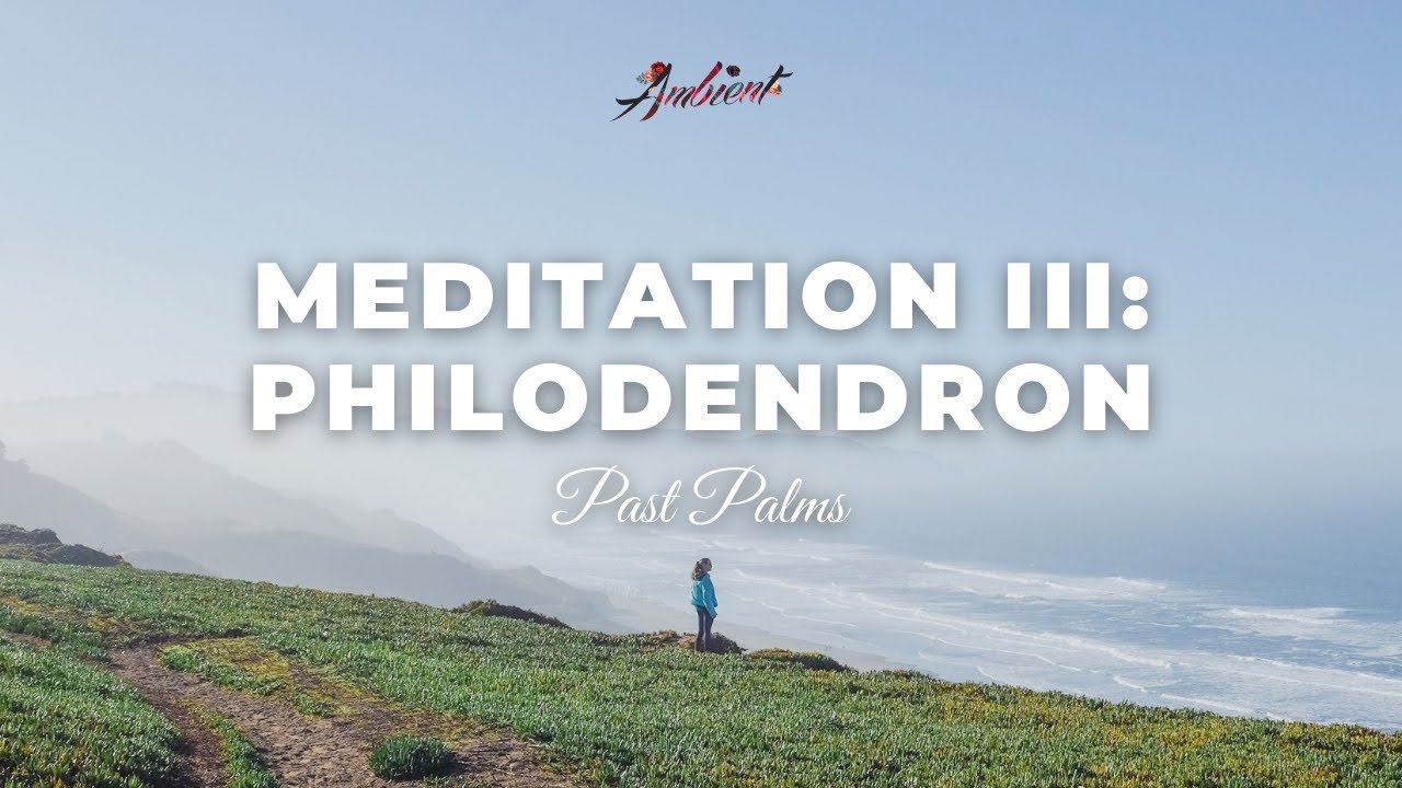 Past Palms - Meditation III: Philodendron downtempo vocal ambient