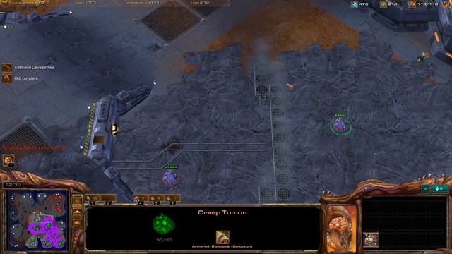 SC2 Speedrun Random Bronze to Diamond - Part 40: Infestors go up in a puff of smoke! смотреть онлайн