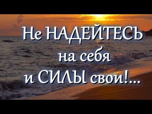 Не Надейтесь на свои Силы...  - Никодим Святогорец