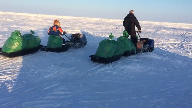 POMOR На Северном Полюсе! смотреть онлайн