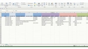 Import Excel Data in tally Prime | How to Import Vouchers from excel to tally #tally  #xml