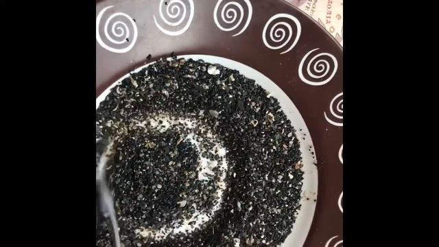 Чёрный песок в Бильбао смотреть онлайн