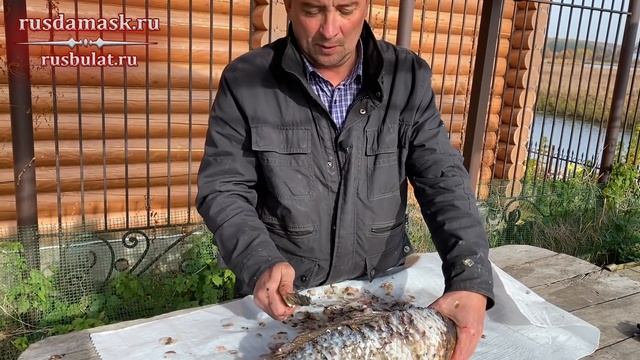 Разделка карпа северным ножом из стали 9ХС ручной ковки. Русский булат.