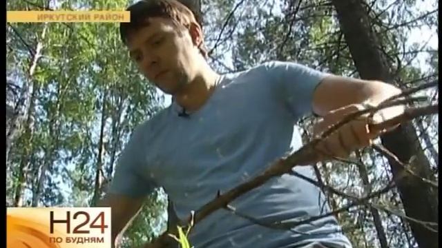 Что делать, если заблудились в лесу смотреть онлайн