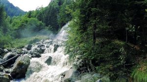 Расслабьтесь с самыми вдохновляющими звуками! ?