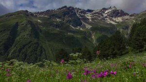 Christine Pepelyan - Сhe, che, che