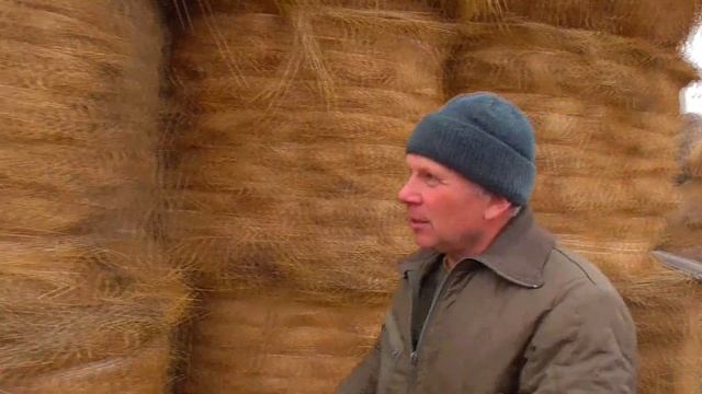Завал  рулонов сена на сеновале в деревне