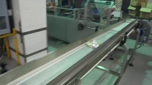 Автоматическая Линия фасовки и упаковки полуфабрикатов в плёнку Флоу Пак и в картонные коробки